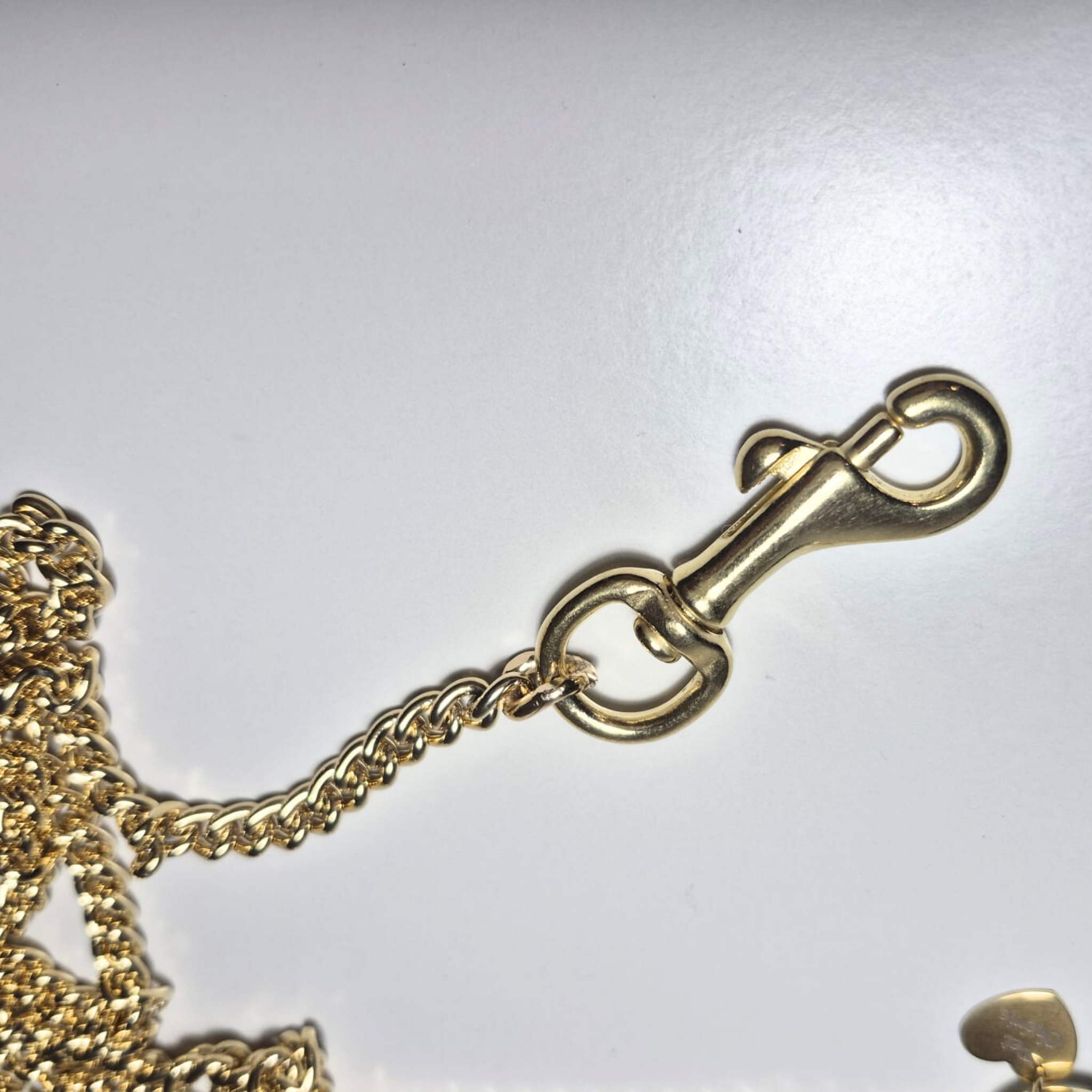 Guinzaglio in Acciaio e Biothane Chain Lead per Cani